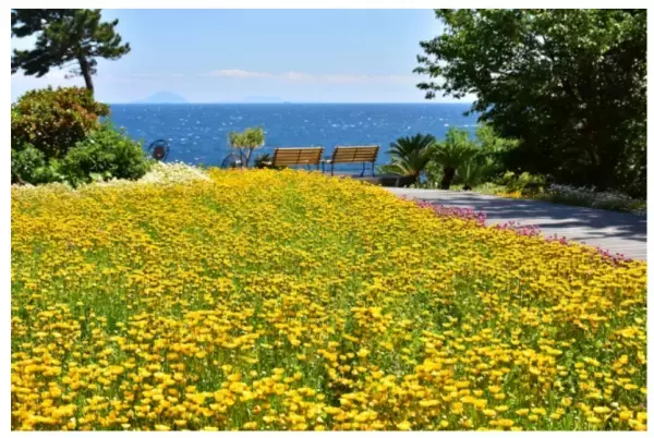 伊豆の4施設が春のキャンペーンを実施