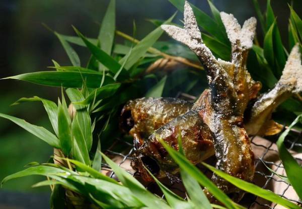 星野リゾート、梅雨の情景と日本料理を楽しむプランの提供開始