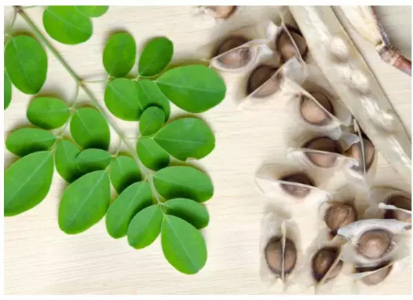 「yoomi」が無添加コスメの発売をスタート