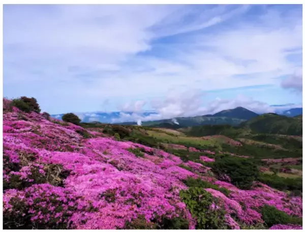 「自然共生型」アウトドア施設がオープン