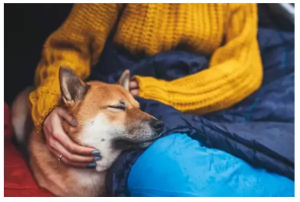 ファミリー必見「コロナ積極的対策プラン」