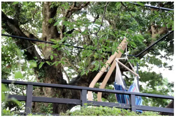 【静岡】オールインクルーシブな「体験型ホテル」がオープン