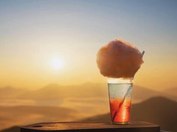 【9月限定】星野リゾート トマム「雲海テラス」で朝焼けに染まる雲海を楽しもう