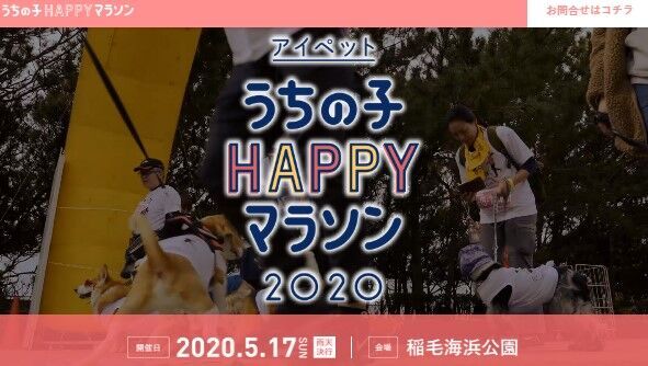 日本最大級のドッグマラソン「アイペット うちの子HAPPYマラソン」