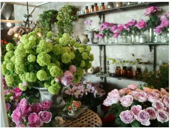 今年で4年目！「ガーデンネックレス横浜 2020」