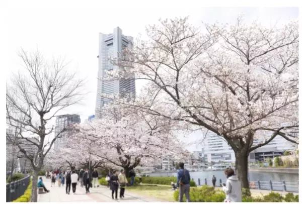 今年で4年目！「ガーデンネックレス横浜 2020」