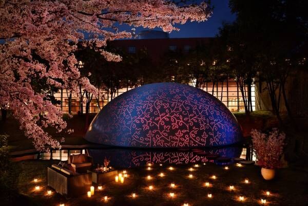 星野リゾート八ヶ岳でロゼワインと夜桜見物！1日1組限定の特別プラン