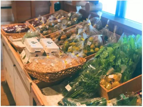 【埼玉】北欧文化を体験してみたいなら「ノーラ名栗」へ！