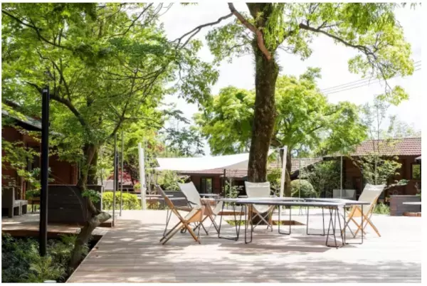 「リソルの森」のグランピングエリアが営業再開