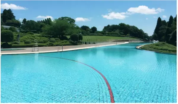 「リソルの森」のグランピングエリアが営業再開