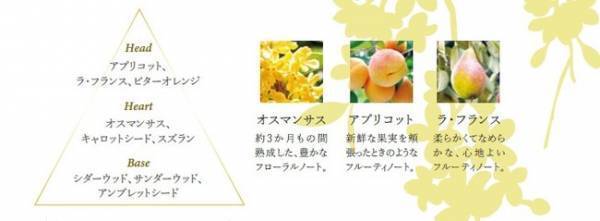 【ロクシタン】可憐で魅惑的な金木犀香る新フレグランス「オスマンサス」発売