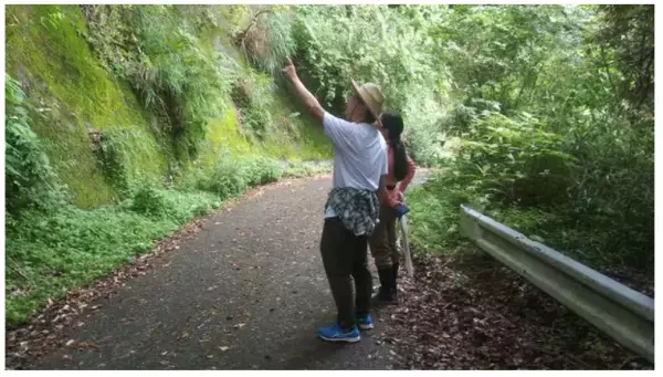 自然豊かな亀山湖畔で、癒しの休日を過ごすプランが登場