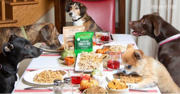 無添加手作りドッグフード「PPFC」がBiople by CosmeKitchenに登場