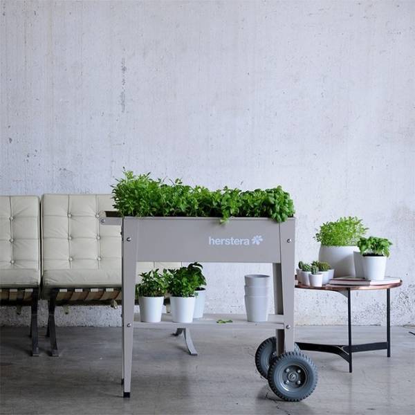 西武池袋本店のポップアップ！アーバンガーデニングで地球の豊かさを守ろう