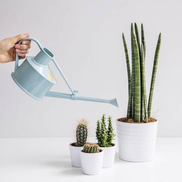 西武池袋本店のポップアップ！アーバンガーデニングで地球の豊かさを守ろう