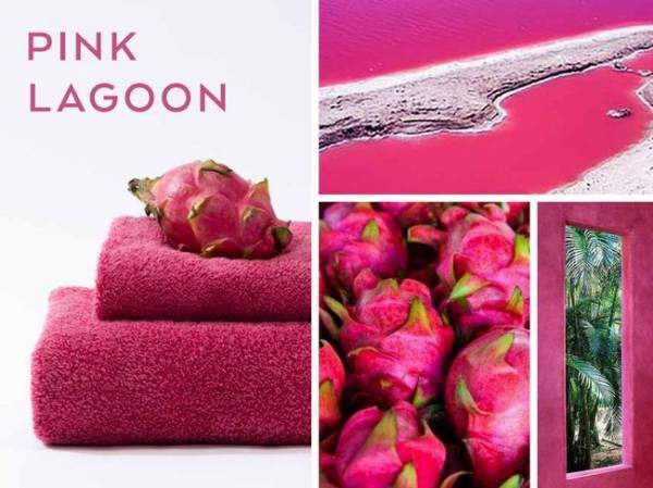 オーガニックタオル「ヒポポタマス」、世界の3景から着想を得た限定カラー発売