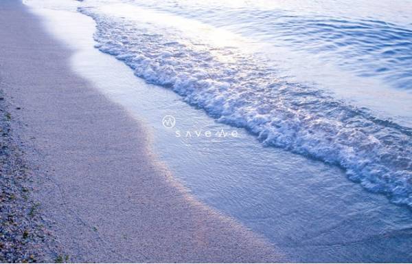 人と地球に優しい「Save ME」新商品8アイテムの予約販売を開始