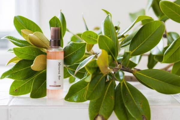 和漢の力で頭皮ケア！新発売の国産オーガニックのスカルプローション