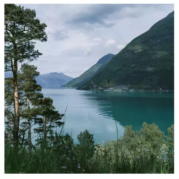 北欧ファンの間で話題の「フレグランスブランド」がリニューアル！