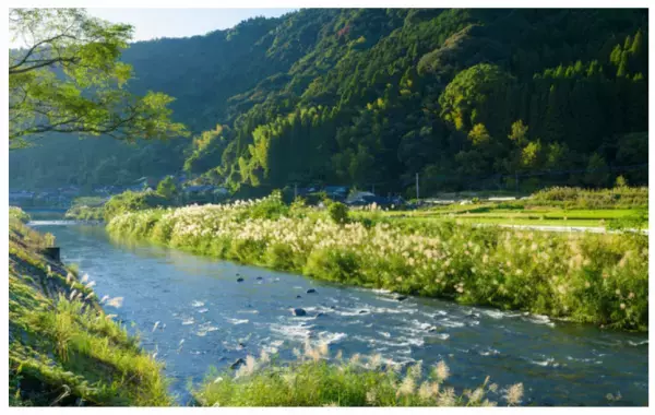 日本初「掛け流し露天風呂」完備のグランピング施設