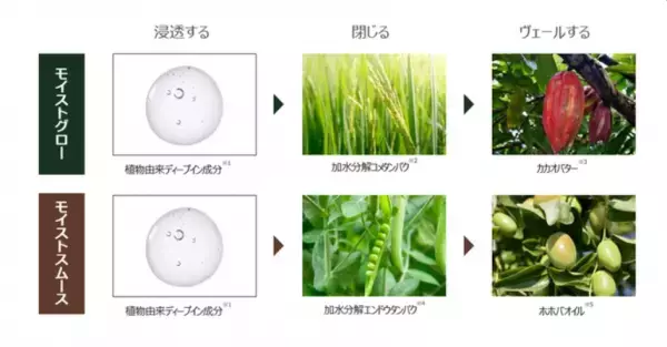 人気のオーガニックコスメブランドが新シリーズを発売