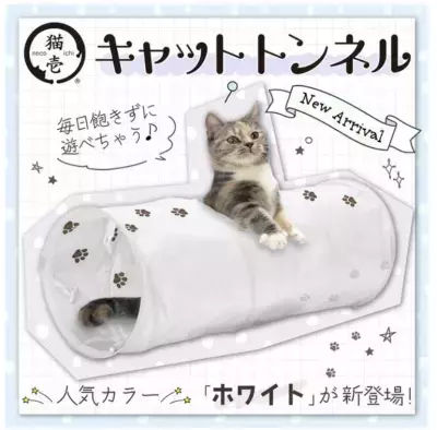 猫が大好き！ロングセラーのキャットトンネルシリーズから 新カラーのホワイトが登場