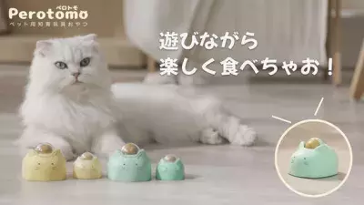 遊びながら食べられるペット用知育玩具「Perotomo」の先行販売を9月29日より開始