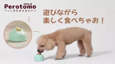 遊びながら食べられるペット用知育玩具「Perotomo」の先行販売を9月29日より開始