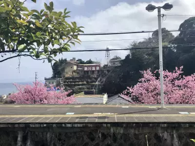 働きながら健康に！温泉×仕事で癒しワーケーションを楽しめる「ONSEN WORK」