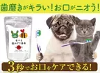 犬・猫の口臭を3秒でケアする無添加サプリ「食べる歯磨き革命」9月8日よりお試しモニター募集