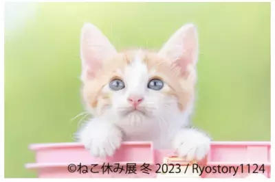 ねこ休み展 冬 2023」が1/27(金)～2/26(日)東京で開催！ 2/22“猫の日”限定特別企画も実施