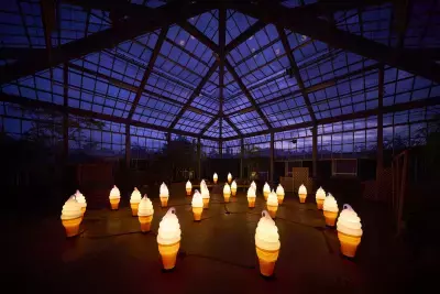 夏バラの開花にあわせた大人時間を京成バラ園が提供　 京成バラ園ライトアップイベント『イルミナイトガーデン』 7月9日以降の毎週土曜日及び3連休の6日間開催！