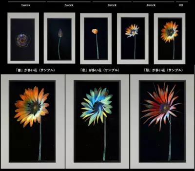 半歩未来のアイデア開発プロジェクト発プロトタイプ第2弾！ 部屋の機嫌で育つ「観情植物」Log Flower(ログフラワー)を公開