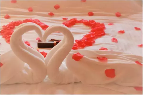 千葉県のグランピング施設がバレンタインプランを提供！