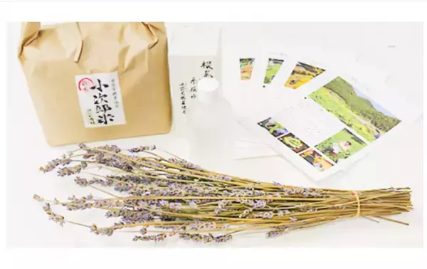 「美活便苗オーナー制度」が参加者を募集