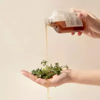 環境に配慮した高純度ヴィーガンエキス 「JUST ONE」化粧水が本格的に実店舗でも販売開始