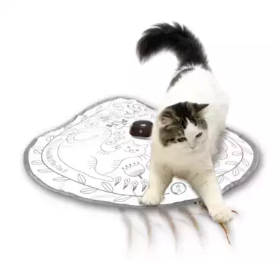 SNSで話題の猫用電動おもちゃ 「キャッチ・ミー・イフ・ユー・キャン2シリーズ」の 『猫のお庭柄』が2022年7月下旬に再度販売開始！ ～累計販売数41万個突破の猫壱No.1売上商品シリーズ～