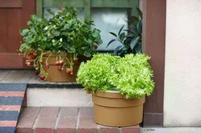 生育スピード約1.5倍、同時に5株栽培可能な水耕栽培キットのSNSモニター募集中