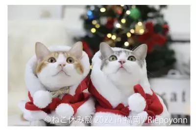 クリスマス★年末年始は新作“ねこまみれ”の世界へ「ねこ休み展 冬 2022 in 福岡」12/3(土)～1/15(日)開催