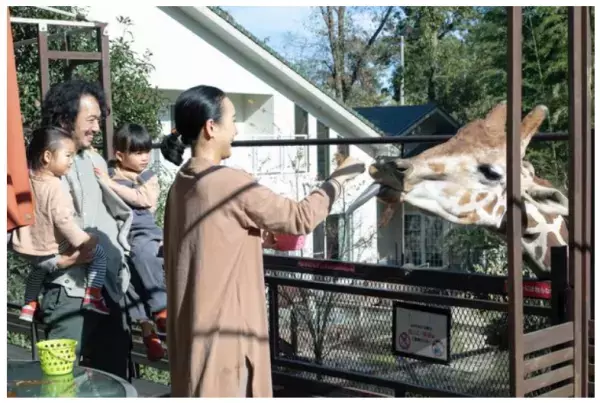 【千葉】キリンと朝食を楽しめるグランピング施設