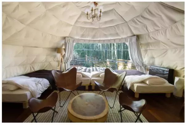 【千葉】キリンと朝食を楽しめるグランピング施設