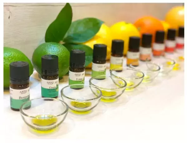 「ARTQ ORGANICS」が「かんきつ類フェア」を実施中