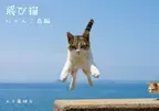 累計発行部数5万部越え、シリーズ新刊 「飛び猫　にゃんこ島編」が10月19日に発売
