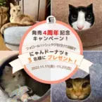 猫用ベッド「にゃんドーナツ」発売4周年記念インスタプレゼントキャンペーンを実施