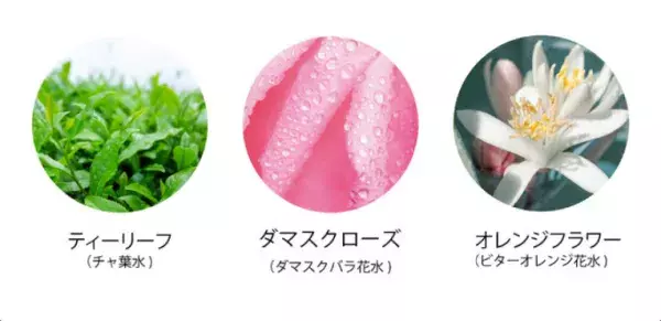日本産「茶葉」配合の洗顔料とクレンジングが登場