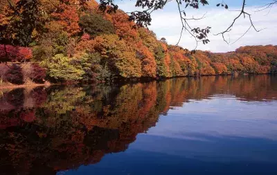 秋の伊東で紅葉を楽しもう！一碧湖＆丸山公園の紅葉が12月上旬見頃に