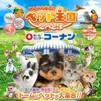 京セラドーム大阪にペットが大集合！「みんな大好き！！ペット王国2023」が5月3日・4日に開催