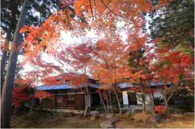 通常非公開・東福寺塔頭「正覚庵」秋の特別拝観 ～苔と紅葉が彩る庭園や本堂(旧白洲屋敷)を公開～