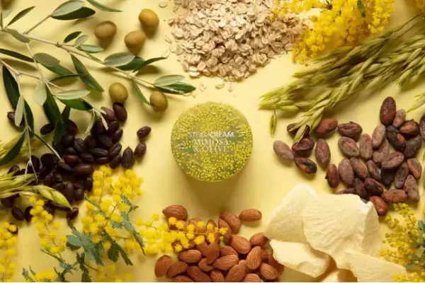 ミモザ香る春限定スチームクリーム！CICA配合でゆらぎ肌の保湿ケア