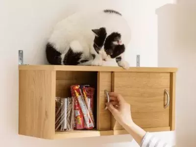 ディノスから“ネコも人も快適に暮らせる家具”が登場！「収納棚としても使えるキャットステップ」が発売
